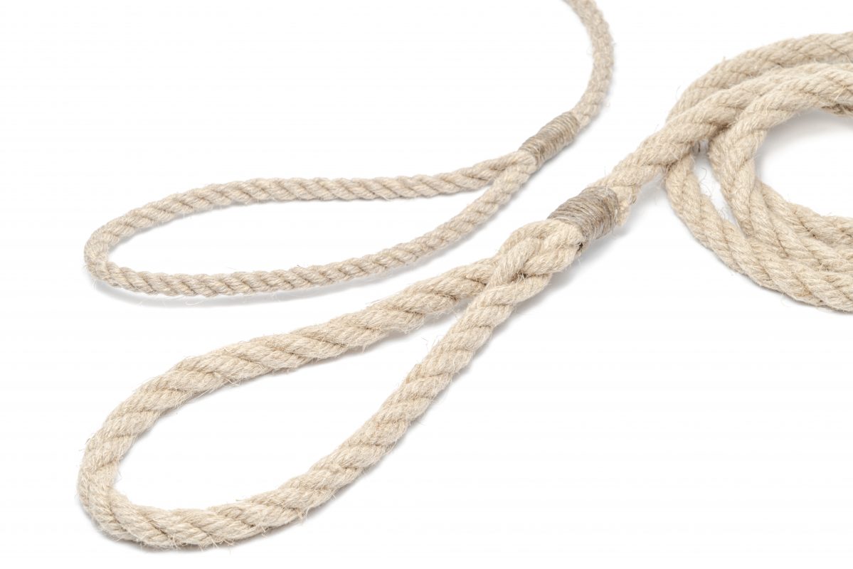 Hempsy – Dog products made from 100% Sustainable Hemp
