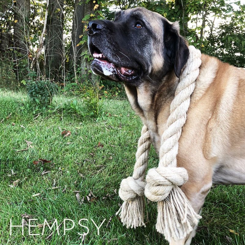 Hempsy – Dog products made from 100% Sustainable Hemp