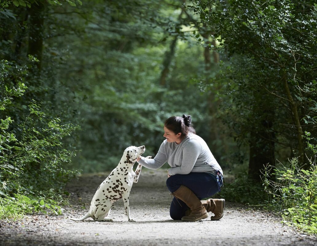Hempsy – Dog products made from 100% Sustainable Hemp